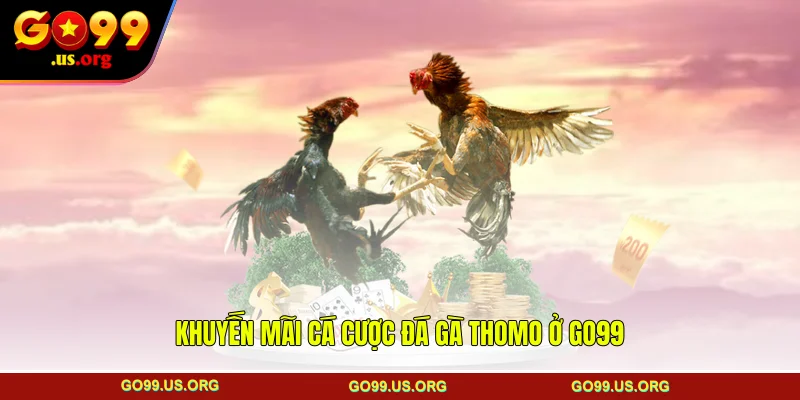 Khuyến mãi cá cược đá gà Thomo ở GO99