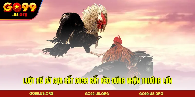 Luật đá gà cựa sắt