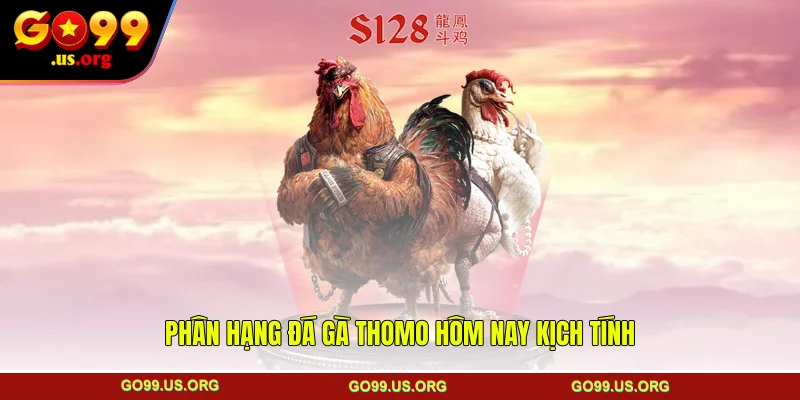 Phân hạng đá gà Thomo hôm nay kịch tính