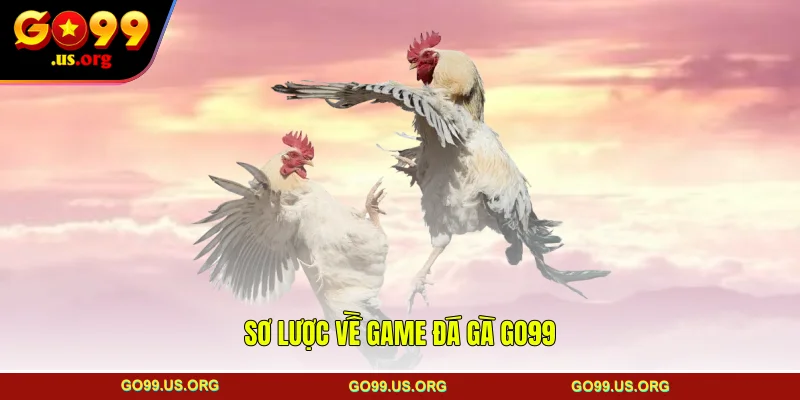 Sơ lược về game đá gà GO99